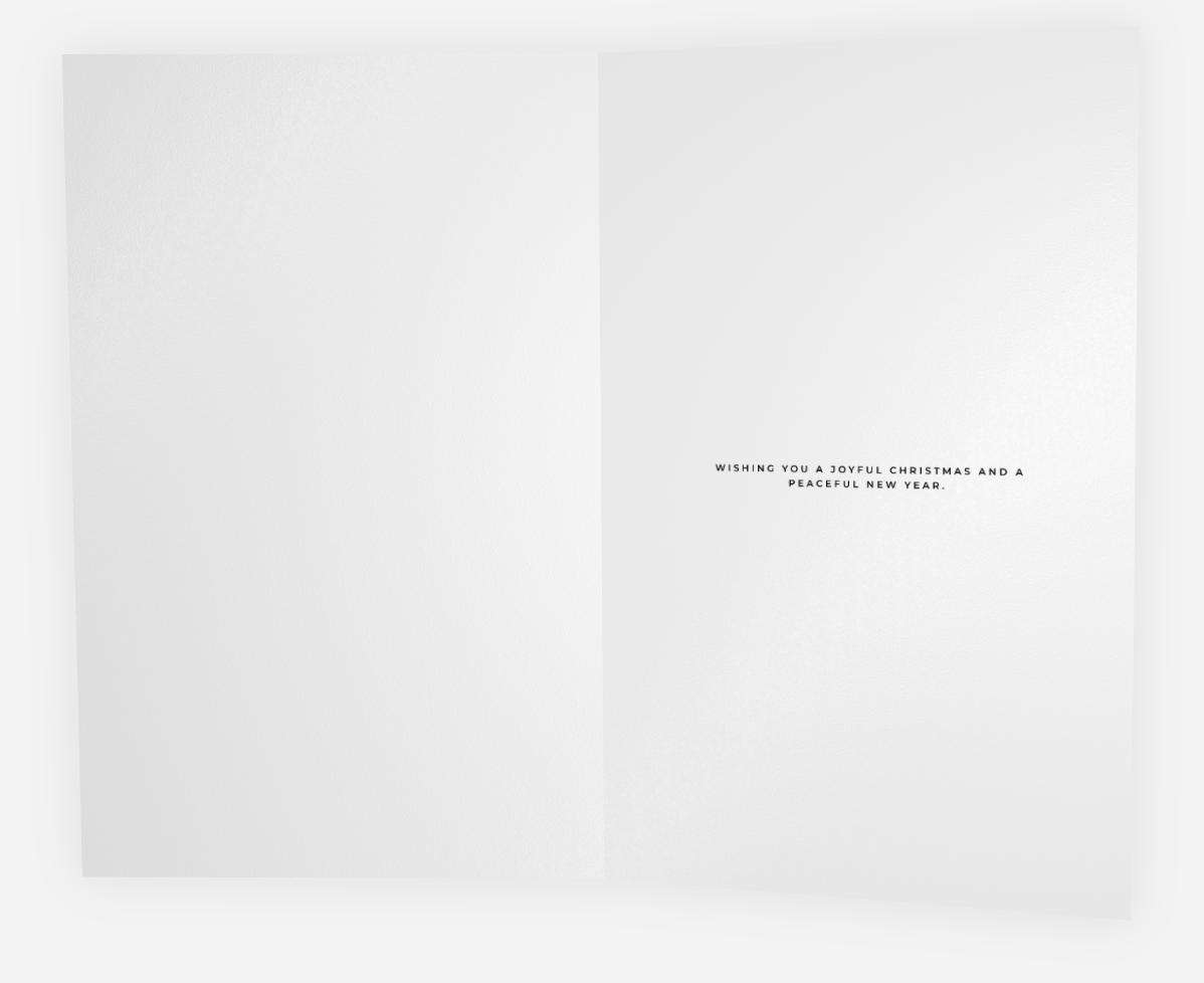 Pack of 10 Christmas Cards